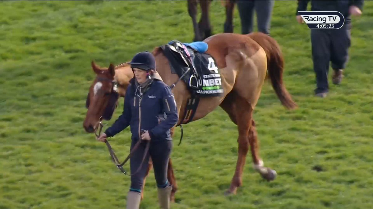 Constitution Hill & State Man both OK ๐