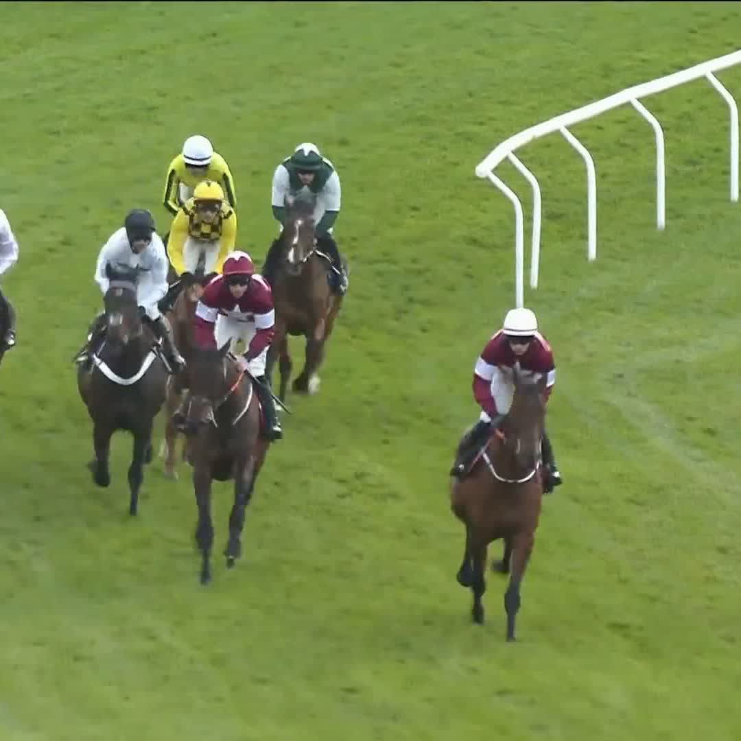 🗣️ "He gave himself no chance of getting his landing gear out." A look at Constitution Hill's fall - thankfully he seems OK 👍