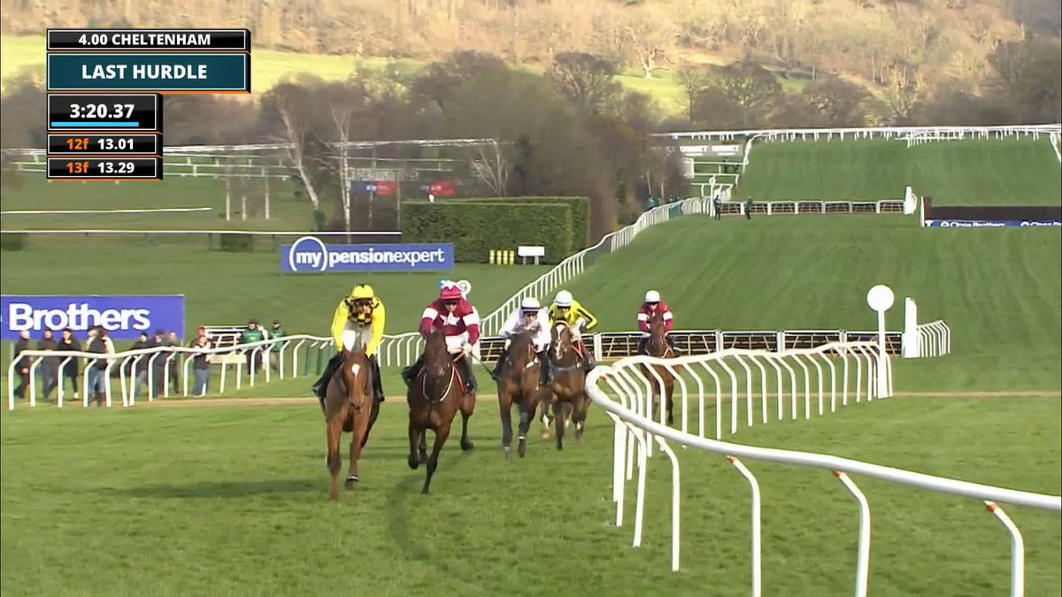 GOLDEN ACE WINS THE CHAMPION HURDLE 🏆 CREDIT TO CONNECTIONS YOU’VE GOT TO BE IN IT TO WIN IT AND MOST IMPORTANTLY YOU HAVE TO JUMP! #CheltenhamFestival🏆
