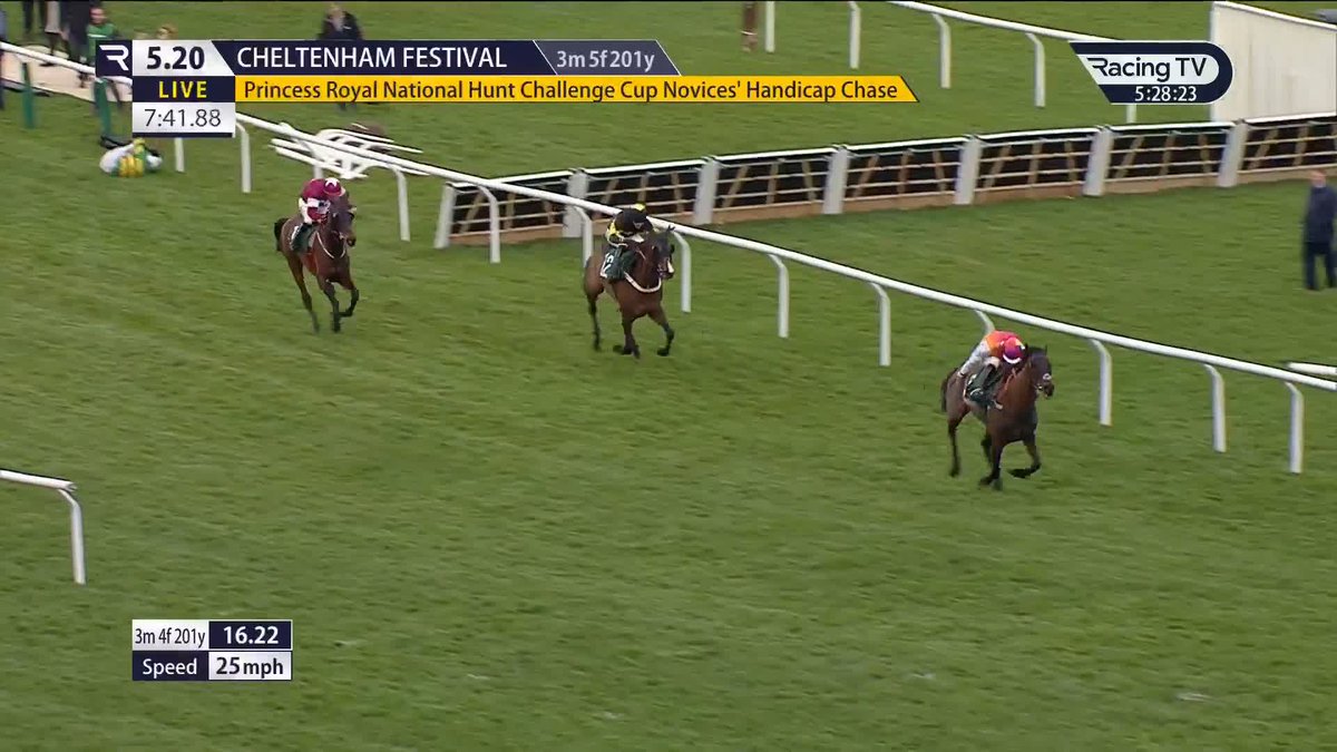 A GUTSY PERFORMANCE FROM HAITI COULEURS. LOOKS LIKE HE COULD GO ROUND AGAIN 😮‍💨 A PROPER STAYER 💪🏽 #CheltenhamFestival🏆