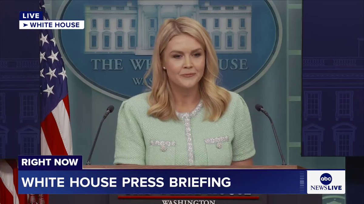 When asked by Karen Travers whether Pres. Trump has any responsibility over the recent drops in the stock market, White House press sec. Karoline Leavitt said: “People on Wall Street and Main Street should bet on this president."