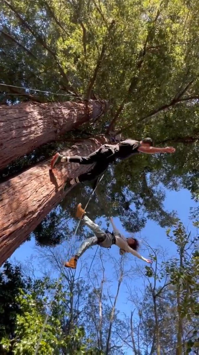 Somehow, it always comes back to taking a leap of faith! Videos by Tina Landau 💛 #RedwoodMusical