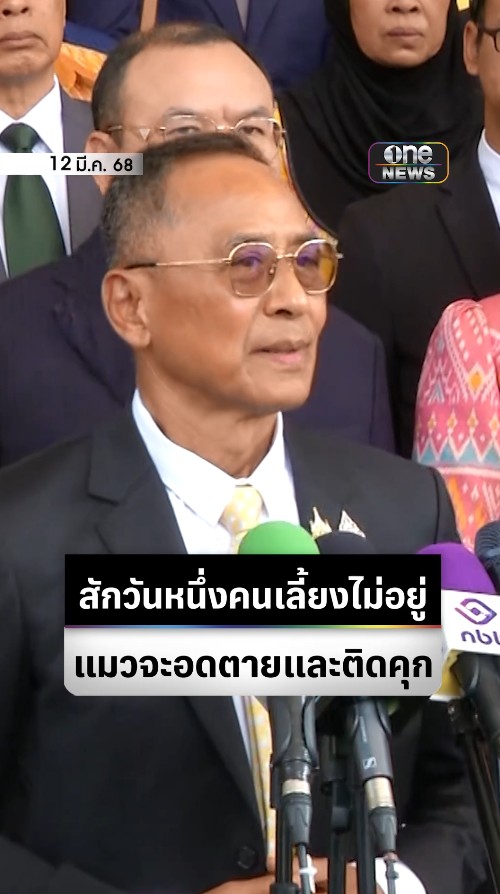 พล.ต.ต. ฉัตรวรรษ แสงเพชร สว.เปรียบเปรย บางองค์กร เหมือน แมวมีปลอกคอ จับหนูตามเจ้าของสั่ง เตือนวันหนึ่งเจ้าของไม่อยู่ แมวจะอดตายและติดคุก #สำนักข่าววันนิวส์