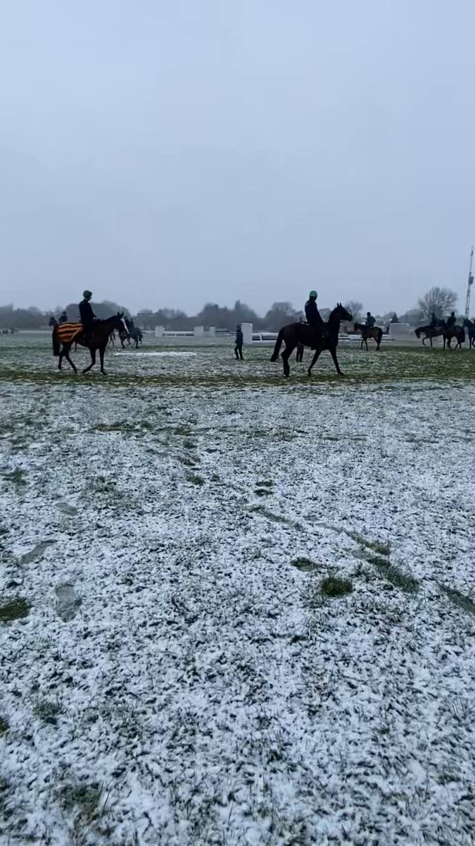 Our first lot on the CheltenhamRacecourse gallops this morning State Man is a bit sore around his shoulder area but otherwise fine and enjoying some time in his paddock this morning Thanks for all your well wishes