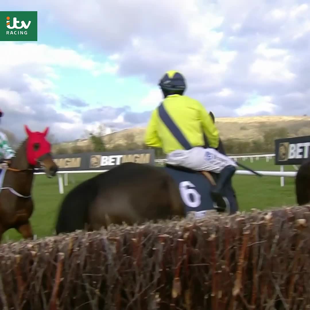 Did this upset Jonbon? 👀 Solness appears uneasy ahead of the Queen Mother Champion Chase 👇 #ITVRacing | #CheltenhamFestival