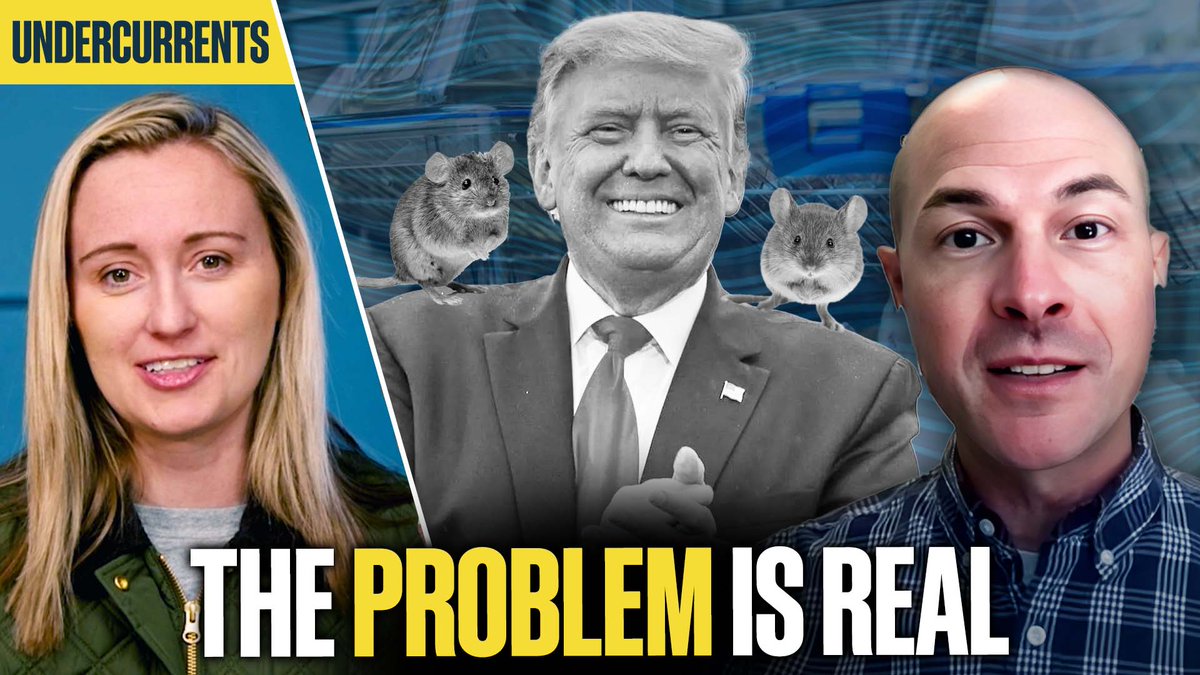 📺 Emily Jashinsky is joined by Justin Goodman to explain the research behind Trump's "transgender mice" claim, arguing the issue is more serious than he conveyed in his address. Goodman weighs in on the media coverage of his efforts to expose taxpayer-funded animal testing.