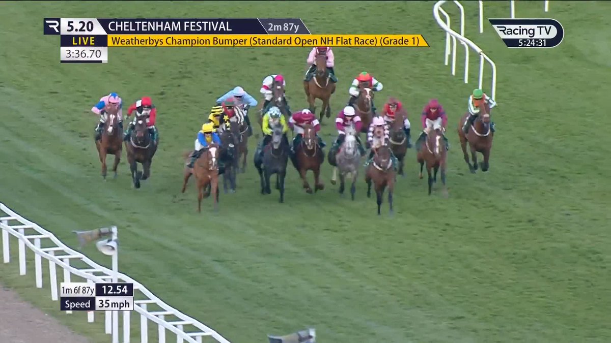 BAMBINO FEVER IN THE CHAMPION BUMPER! #CheltenhamFestival🏆