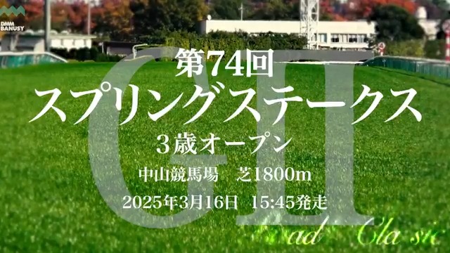 キングスコール が 3月16日(日) 中山競馬場 第11レース スプリングステークス(GⅡ)に挑みます。 レースの前にスペシャル動画をぜひご覧ください! #BanusySpecialMovie