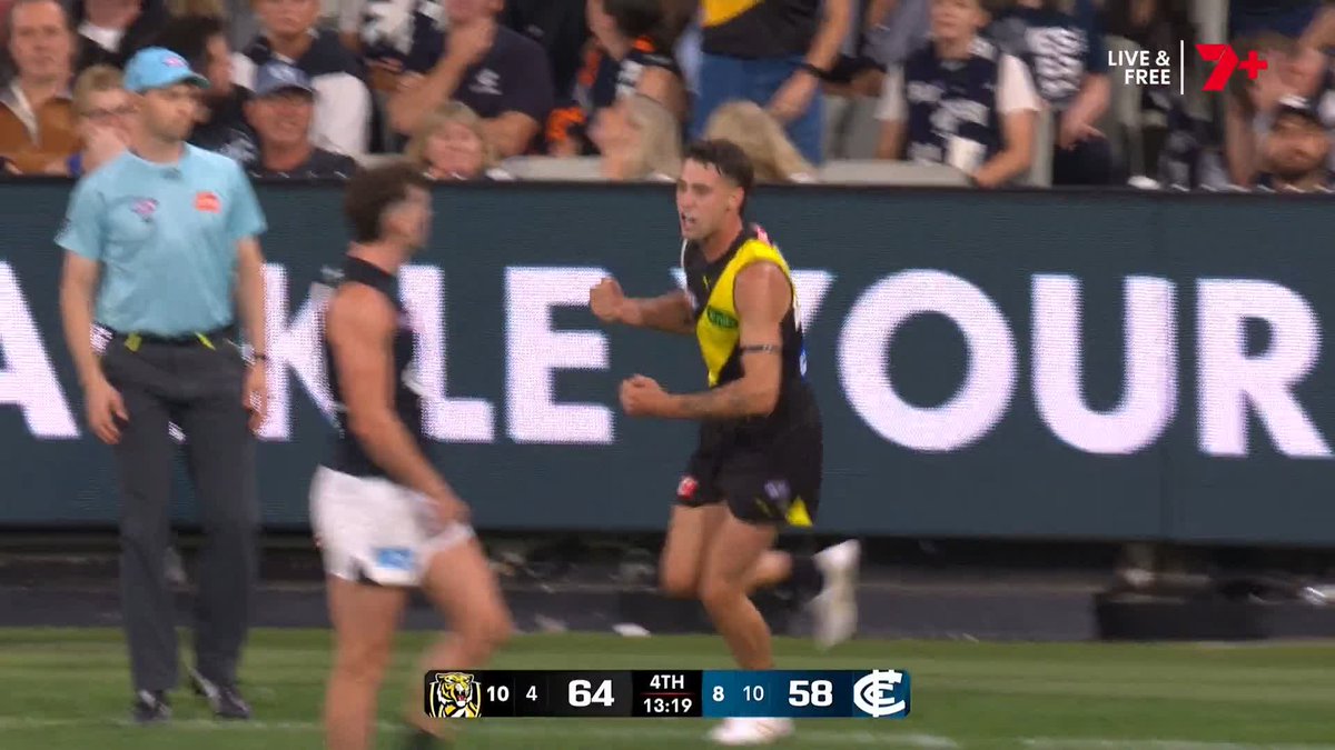 WHAT IS HAPPENING AT THE MCG!!?? #AFLTigersBlues
