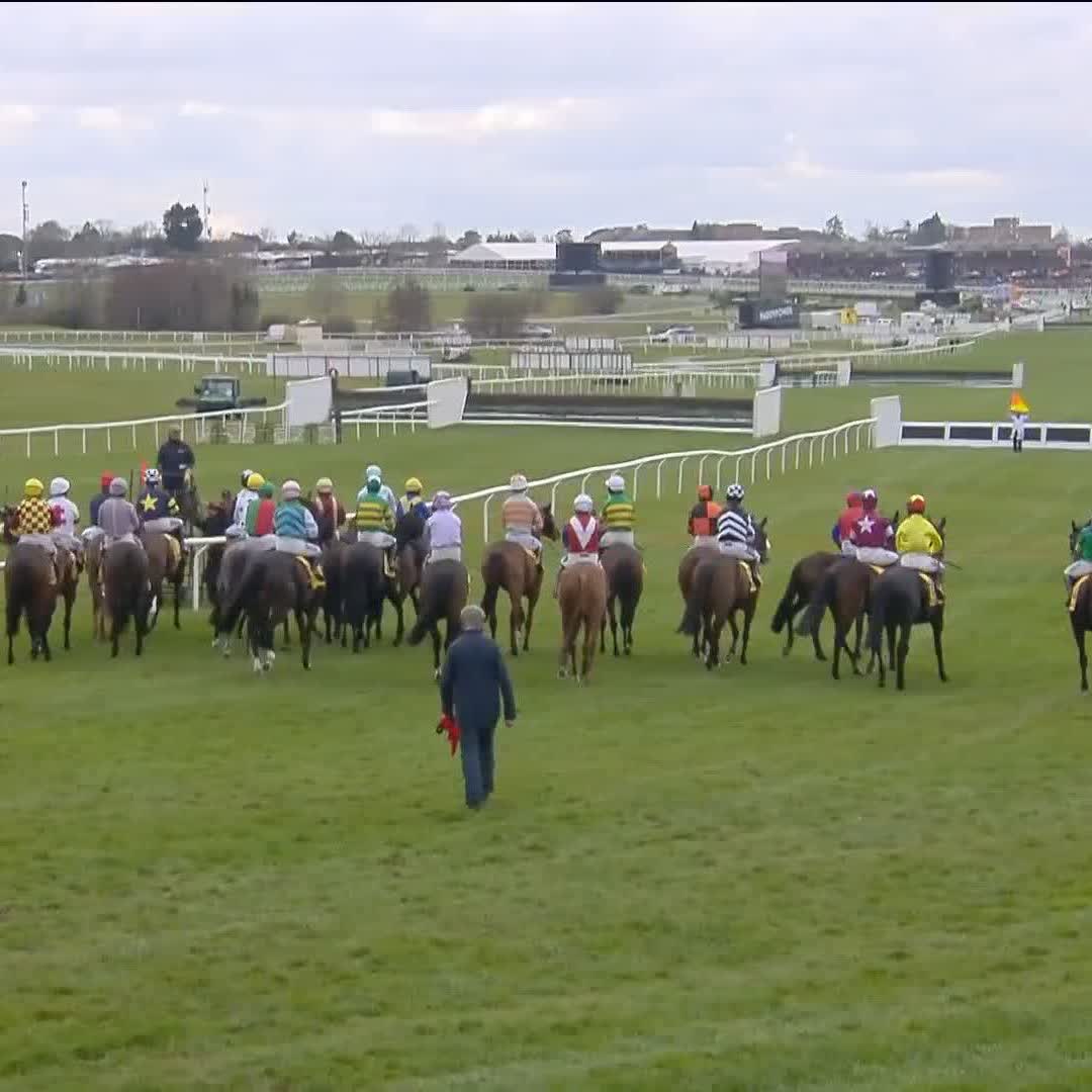 STARTER STRIKES AGAIN! NO RUN FOR YOUR MONEY ON MAUGHREEN! DISGRACE. #Cheltenhamfestival🏆