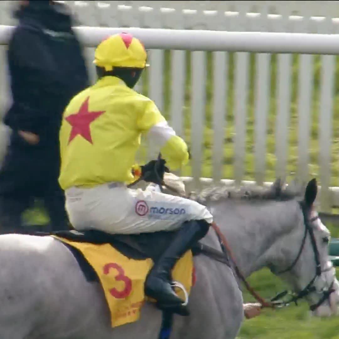 🗣️ "I never thought I'd do that when I started." Caldwell Potter, in the late John Hales colours, giving Paul Nicholls OBE his 50th #CheltenhamFestival winner