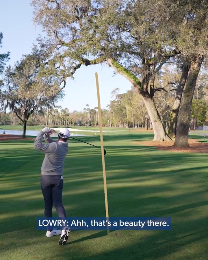 Players have thoughts on the new tree on No. 6.