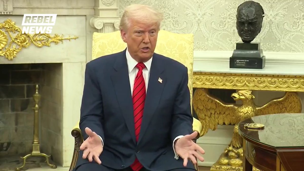 Trump insists the US doesn't need energy, cars, lumber or anything else from Canada. "Canada only works as a state, we don't need anything they have," he says, claiming only an "artificial line" separates the two countries."They need us, we really don't need them."