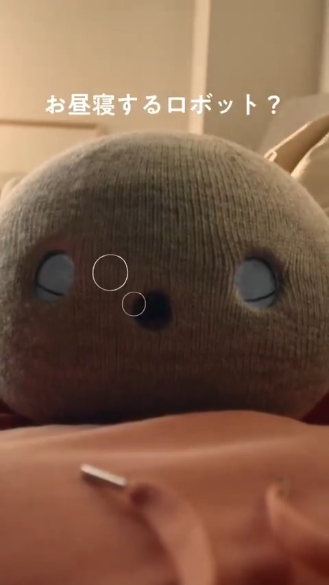 #ニコボ は昼寝をして、ときどき寝言を言うこともあります。 決められた時間以外の睡眠は、体調が悪いわけではありませんのでご安心ください。 そっと起こすか、一緒にお昼寝してみては？ 🌸ニコボの春割キャンペーン実施中 ⏲3月25日まで #世界睡眠デー