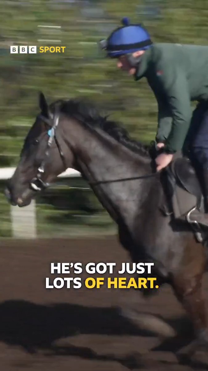 He is a very, VERY special horse. ๐ Will Galopin Des Champs make it THREE Gold Cups in a row at Cheltenham? ๐๐๐ #CheltenhamFestival