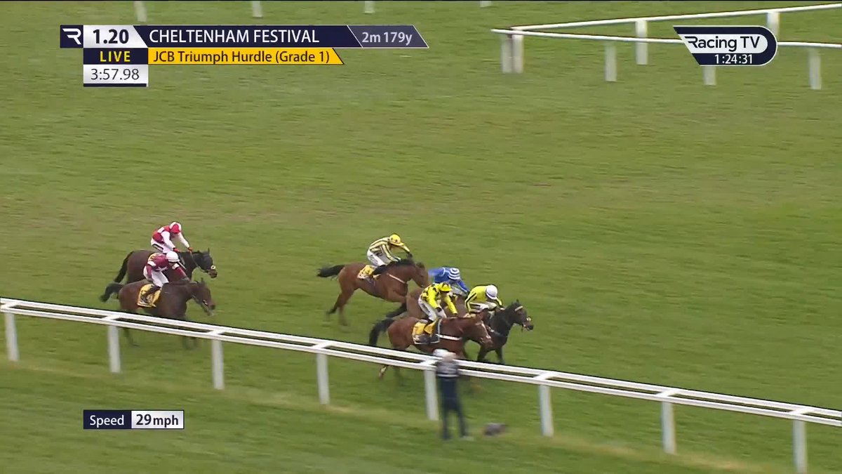I can't believe a 100/1 shot beat us 🤯 PONIROS storms up the Cheltenham hill to break LULAMBA'S heart in the dying strides in the Triumph Hurdle. You couldn't make this week up! 😂 #CheltenhamFestival 🏆