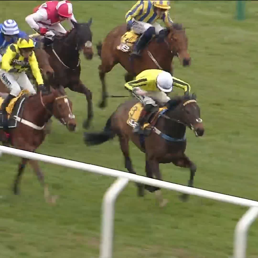 👀 100/1 - Poniros is the biggest priced winner in the history of the Triumph Hurdle