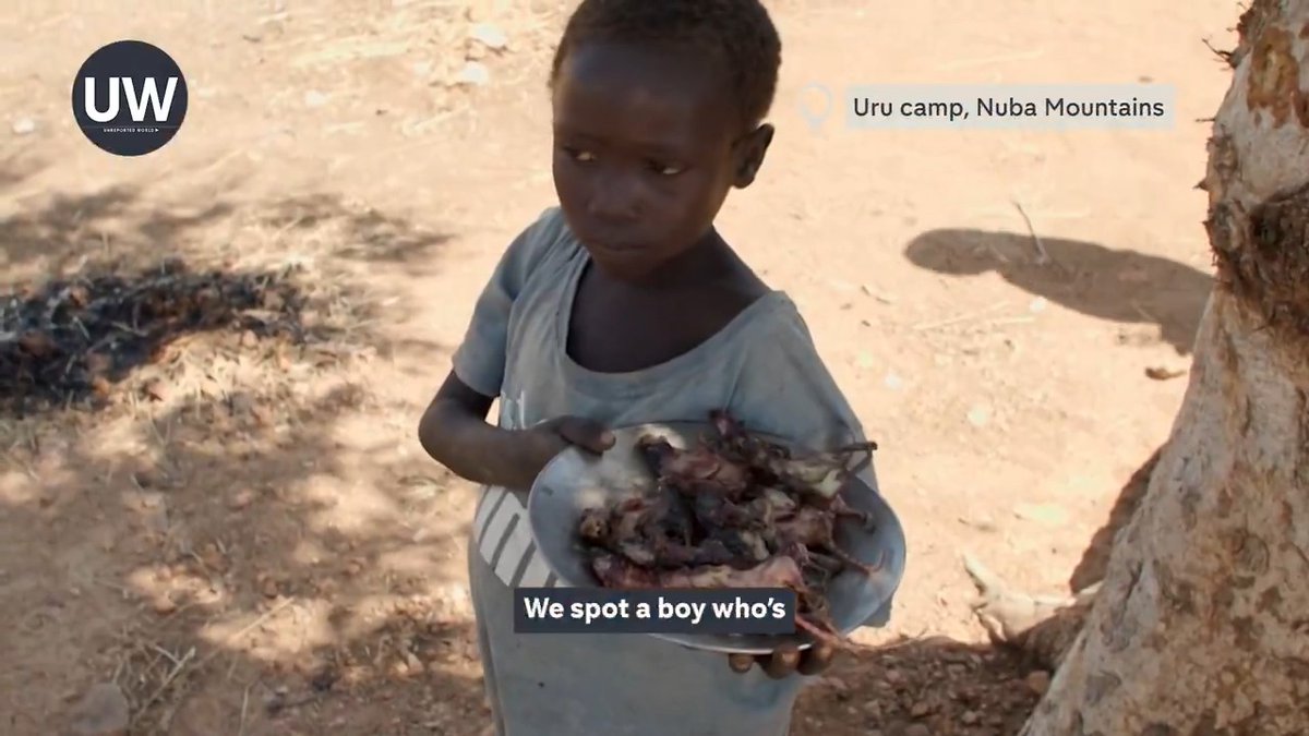 People facing starvation in Sudan are forced to eat rats and leave from trees to survive. We visited one camp in the Nuba Mountains which is only receiving limited food aid, meaning people are having to eat what they can find.