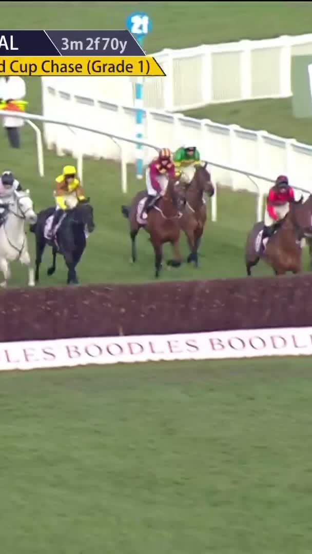 A fence-by-fence look at Galopin Des Champs RaceiQ data insights: ❌ Lengths gained jumping: -0.24 📉 Jump Index: 7.7 (second worst in the race)