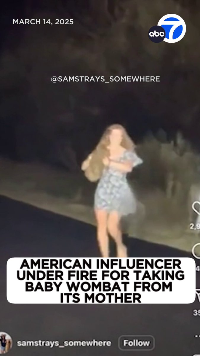 American influencer who describes herself as an "outdoor enthusiast &amp; hunter" is sparking wide backlash after posting a social media video of herself snatching a wild baby wombat from its mother