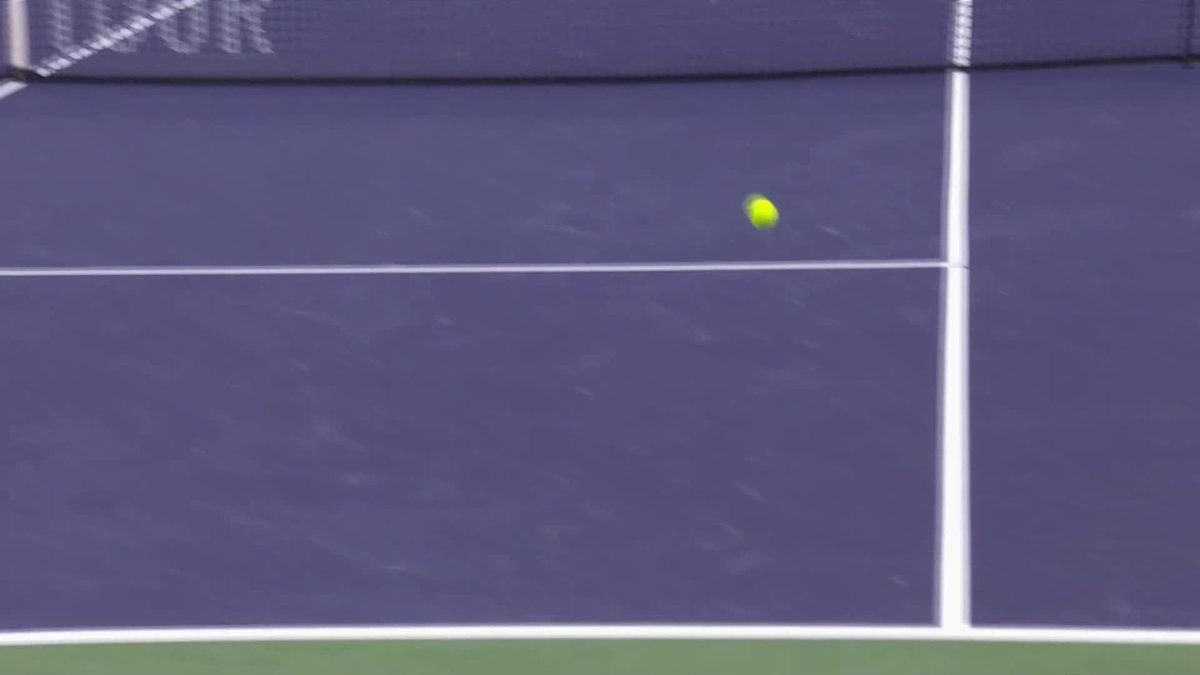this point, from this angle 😮‍💨 #TennisParadise