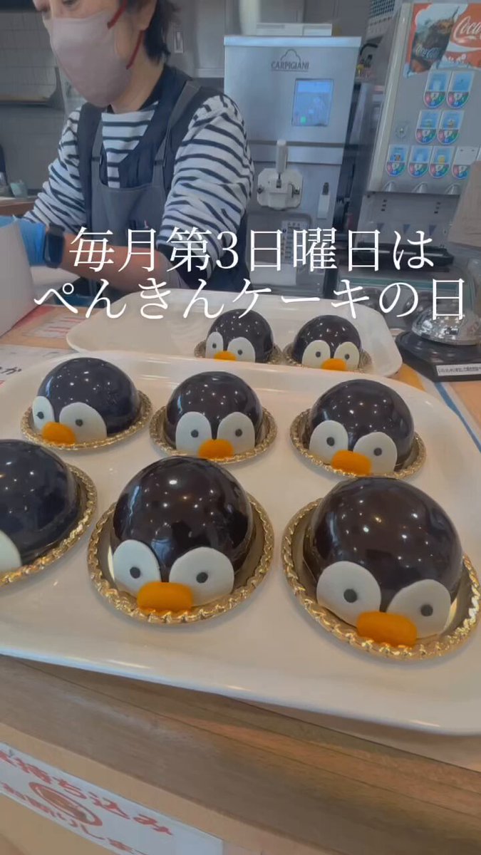 毎月第3日曜日はぺんぎんケーキの日🎂 ぺんぎんケーキとクッキーがついて740円！ （＋200円でドリンクセットにできます！）今回のクッキーはこの3種！ 3/16（日）ペンギン食堂にて数量限定販売中🐧 #パティスリートロワエキャトル #ぺんぎんケーキの日 #長崎ペンギン水族館