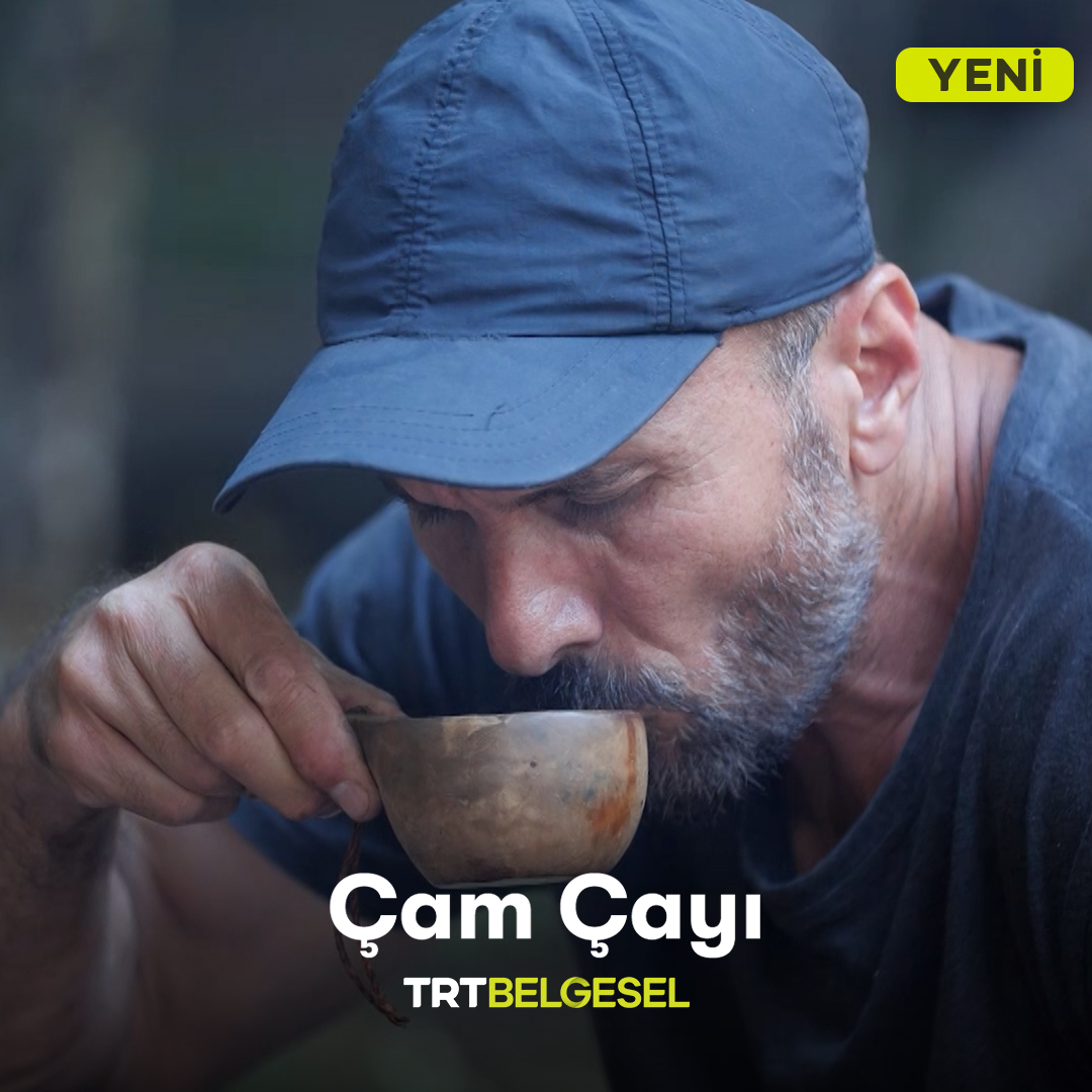 Serdar Kılıç, doğanın sunduğu malzemelerle köknar ağacının iğneli yapraklarından çam çayı yapıyor. 🌲🍵 “Ulak: Doğa Günlüğü”, yeni bölümüyle 22.00’de TRT Belgesel’de. #izleritakipet #hikayeyipaylas