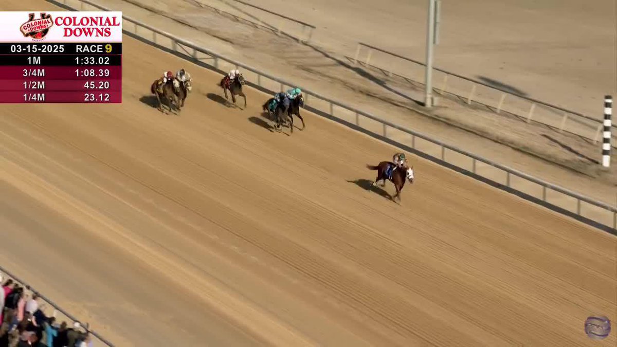 American Promise dominates the Virginia Derby! 🌹🏇🏽