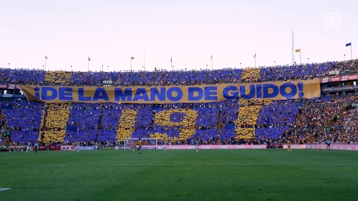 ¡De la mano del Profe Pizarro! 🗣️🐯