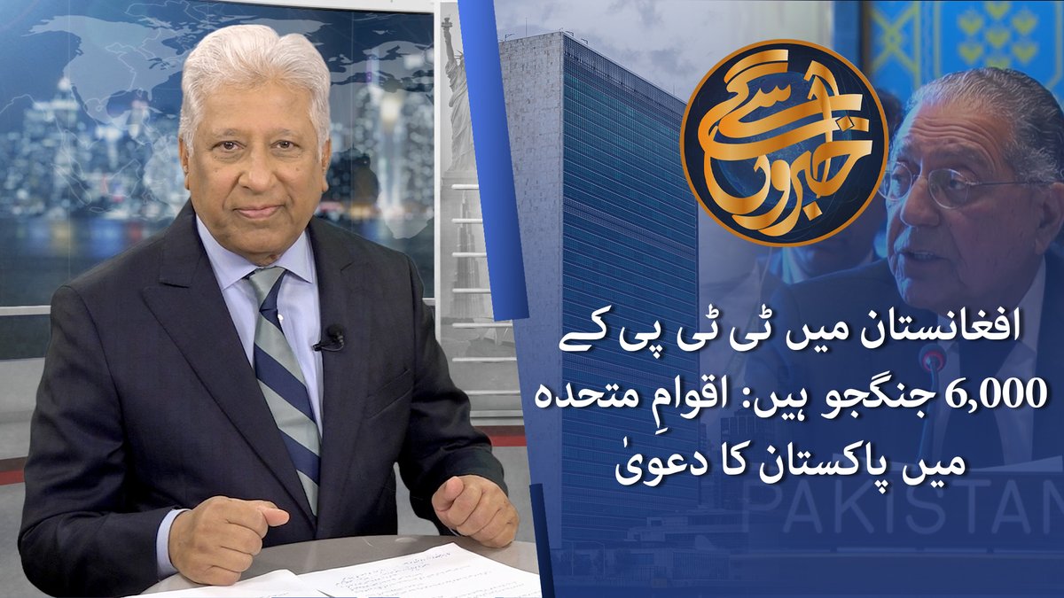 پاکستان کے اقوامِ متحدہ میں مستقل مندوب منیر اکرم نے کہا ہے کہ افغانستان میں 20 سے زائد دہشت گرد تنظیمیں موجود ہیں جو خطے کی سلامتی کے لیے خطرہ ہیں۔ پاکستان یہ الزام لگاتا آیا ہے کہ دہشت گردی کے لیے افغان سرزمین استعمال ہو رہی ہے۔ تاہم کابل کے طالبان حکام اس کی تردید کرتے ہیں۔