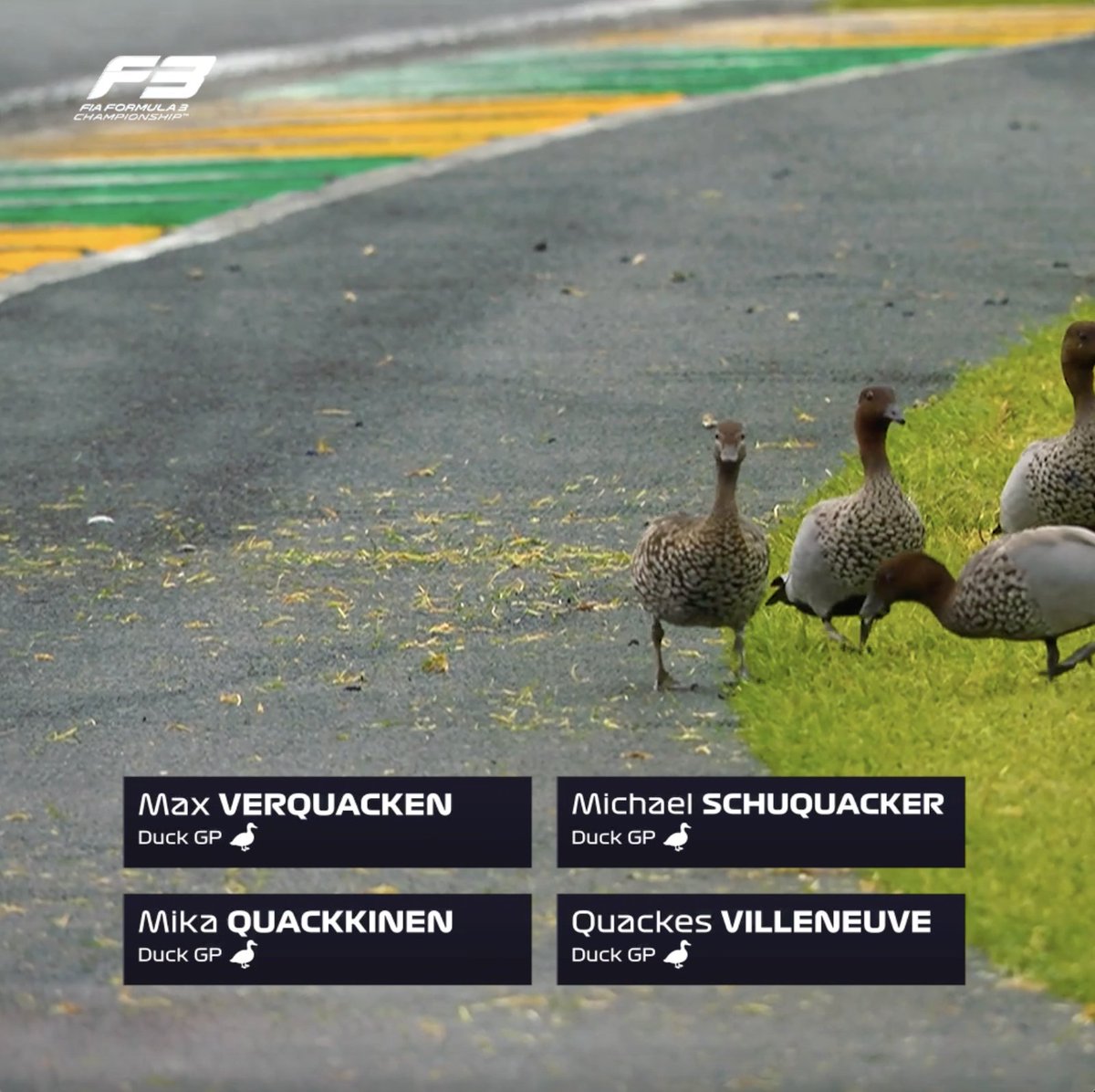"I've had it confirmed, unequivocally, that they are ducks" 💬 Thank you for your service, Alex Brundle 🫡🤣 #F3 #AusGP