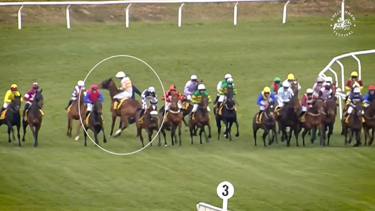 We watched the Ryanair Mares Novice with the owners of Maughreen, but it went awry very quickly… The highs and lows of racing, but syndicate manager James Fenton looks forward to getting Maughreen another day in the sun 🏇