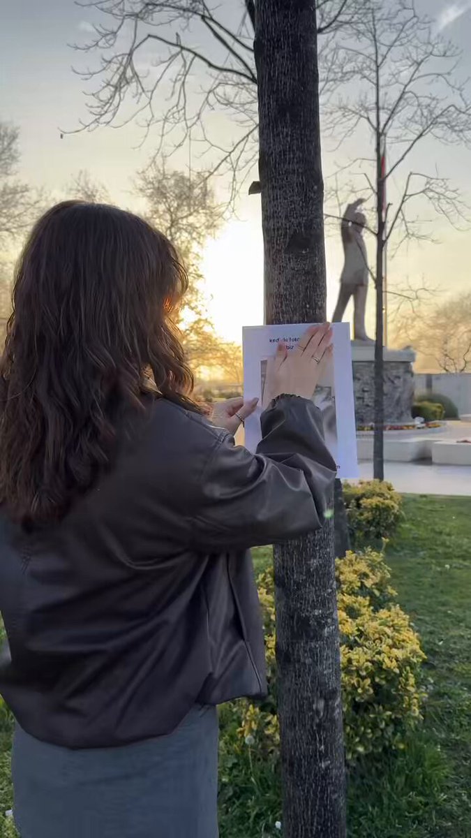 77 karede kediyle fotoğraf akımı 🤩📸
