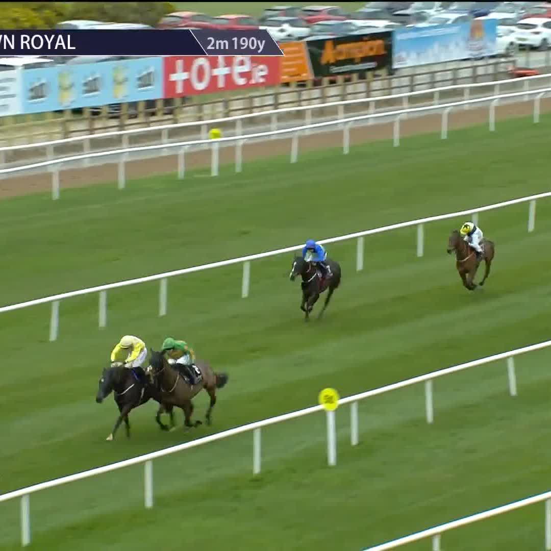 ✅ A first win over hurdles for Walk On The Beach Down Royal Racecourse | Joseph O'Brien
