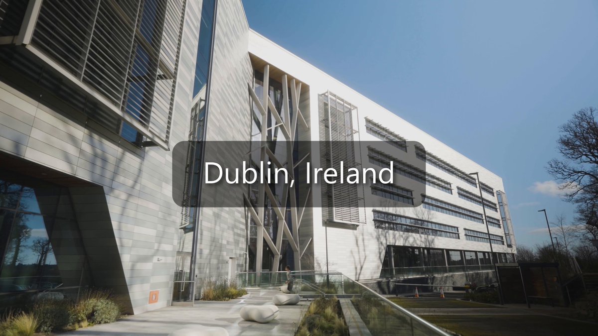 Just a regular day at the Dublin office 💚