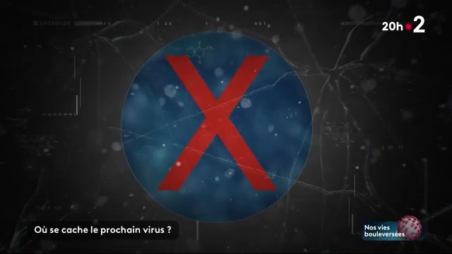 🦠⚠️ "X", un nom de code pour un virus qui inquiète. Si le covid nous a surpris, les scientifiques espèrent que nous serons prêts si une nouvelle pandémie nous menace. #JT20h