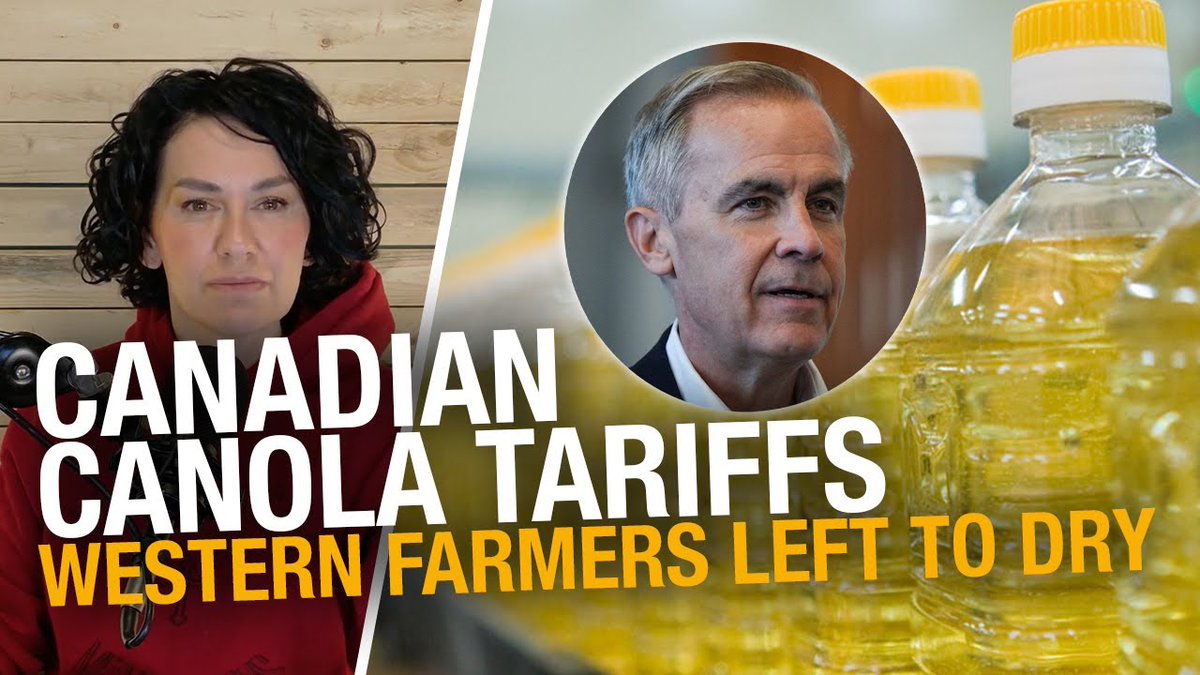 Trudeau’s rigged EV scam: Foreign-owned bailouts for Ontario & Quebec, Western farmers left to die Buckle up, because we’re about to tear the mask off one of the biggest Liberal betrayals of Western Canada yet. Justin Trudeau, Mark Carney, and the rest of the corrupt Liberal gang—who have the audacity to call themselves "Team Canada" (as if they give a damn about the whole country) have just handed Western farmers a death sentence. And why? Because they need to rig the system to protect the foreign-owned EV battery plants they’ve sunk billions of your tax dollars into. Let me spell it out for you: The Trudeau Liberals imposed a 100% tariff on Chinese-made EVs. Not to protect Canadian automakers (because there basically aren’t any), but to make Chinese EVs too expensive for the market. That way, Canadians are forced to buy overpriced, taxpayer-subsidized EVs from the Liberal-backed foreign companies they’ve handed billions to—Volkswagen, Stellantis, and Northvolt. Oh, but Northvolt just went BANKRUPT in Sweden. That’s right—the company Trudeau and his gang are pouring your money into has already collapsed in its home country. China retaliated against Trudeau’s tariffs—by slapping a 100% tariff on Canadian canola. So while Liberal-backed, foreign-owned mega-corporations in Ontario and Quebec get billion-dollar taxpayer bailouts, Western farmers are left holding the bag. And what’s the cost? Oh, just a little thing called Canada’s biggest agricultural export. And this isn't about seed oils. We all have our thoughts on those. Canola is a made-in-Canada success story. It was literally developed for Canadian soil and climate. Saskatchewan and Alberta grow 80% of the canola that fuels a $29.9 billion industry and makes Canada the world’s largest exporter of the crop. And now, thanks to Trudeau’s reckless trade war, this industry—built by generations of hardworking farmers—is under threat. And here’s the part that makes me sick: Trudeau and his cronies don’t care. They don’t care about family farms in the Prairies. They don’t care about lost livelihoods. They don’t care that their vote-buying scheme in Ontario and Quebec is crippling Western agriculture. Because in their political calculus, they have no votes to lose in the West. Let’s be very clear about what’s happening here: The Liberals are forcing Canadians to buy overpriced, subsidized EVs from their hand-picked, foreign-owned plants—while sacrificing Western Canadian farmers to a Chinese trade war. This isn’t a government that works for all Canadians. It’s a government that works for Liberal donors, foreign corporations, and whatever globalist scam Carney and his buddies are cooking up next. Western Canada is tired of being treated like a disposable colony. Our farms, our industries, and our economy matter. And we will not stand by while Trudeau, Carney, and their so-called “Team Canada” sell us out to protect their corrupt, failing green agenda. REPORT by Sheila Gunn Reid: