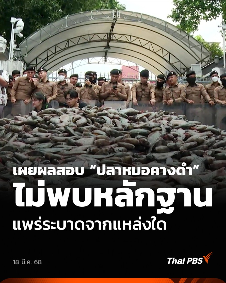 เผยผลสอบ “ปลาหมอคางดำ” ระบาด กระทรวงเกษตรฯ ไม่พบหลักฐาน แพร่ระบาดจากแหล่งใด | ทันข่าว วันนี้ (18 มี.ค. 68) นายบัญชา สุขแก้ว อธิบดีกรมประมง พบกลุ่มผู้ได้รับผลกระทบ #ปลาหมอคางดำ ระบุว่า กระทรวงเกษตรฯ ได้สอบข้อเท็จจริงแล้ว ไม่พบพยานและหลักฐานว่าแพร่ระบาดจากแหล่งใด #ThaiPBS