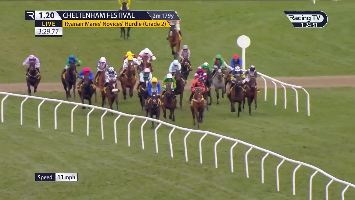 😵‍💫 Nearly a week has passed but how in the world was SIXANDAHALF beat in the Mares Novice?
