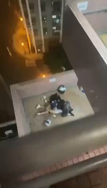 屋苑平台 3P 性爱派对 2男1女 #户外 #激情 #香港 #屋苑居 更多精彩点击👉91视频下载地址