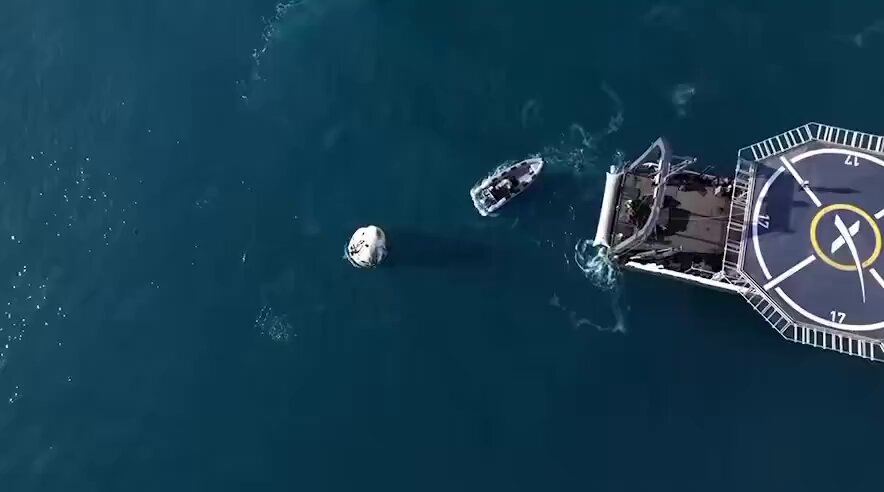 ASTROTURF? There is speculation in the drive-by media that SpaceX hired trained dolphins to greet the rescued astronauts. Democrats can’t help but find something negative to say about even the most beautiful and heartwarming things.
