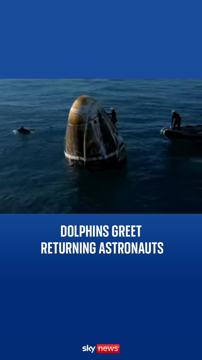 Dolphins joined the recovery crew in the Gulf of Mexico as the capsule carrying astronauts from the ISS splashed down.