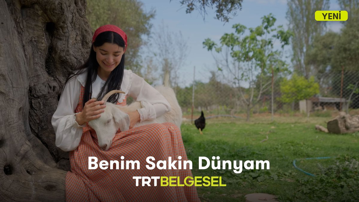 Mavi ve yeşilin buluştuğu bir adada dingin bir yaşam…🏝️🌿 Tümay Karakaya’nın doğal lezzet sırlarını paylaştığı yeni belgesel serisi “Benim Sakin Dünyam”, TRT Belgesel’de!