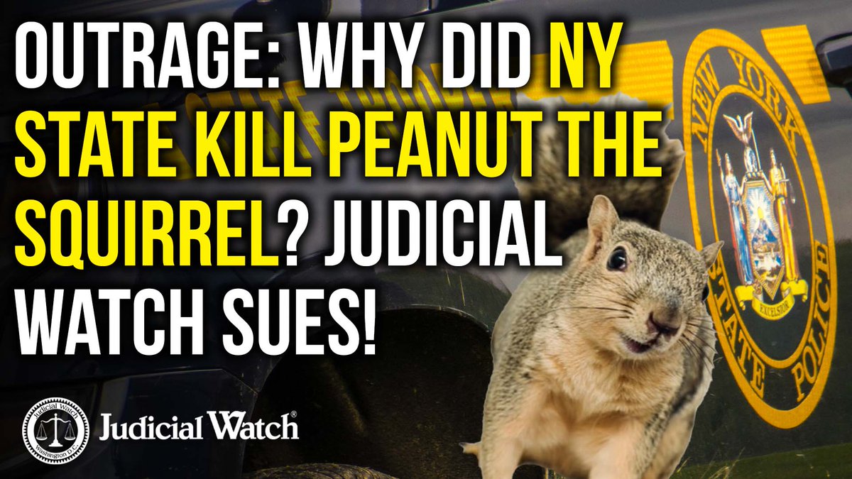 OUTRAGE:Why did NY State KILL Peanut the Squirrel? Judicial Watch SUES! Tom Fitton READ: