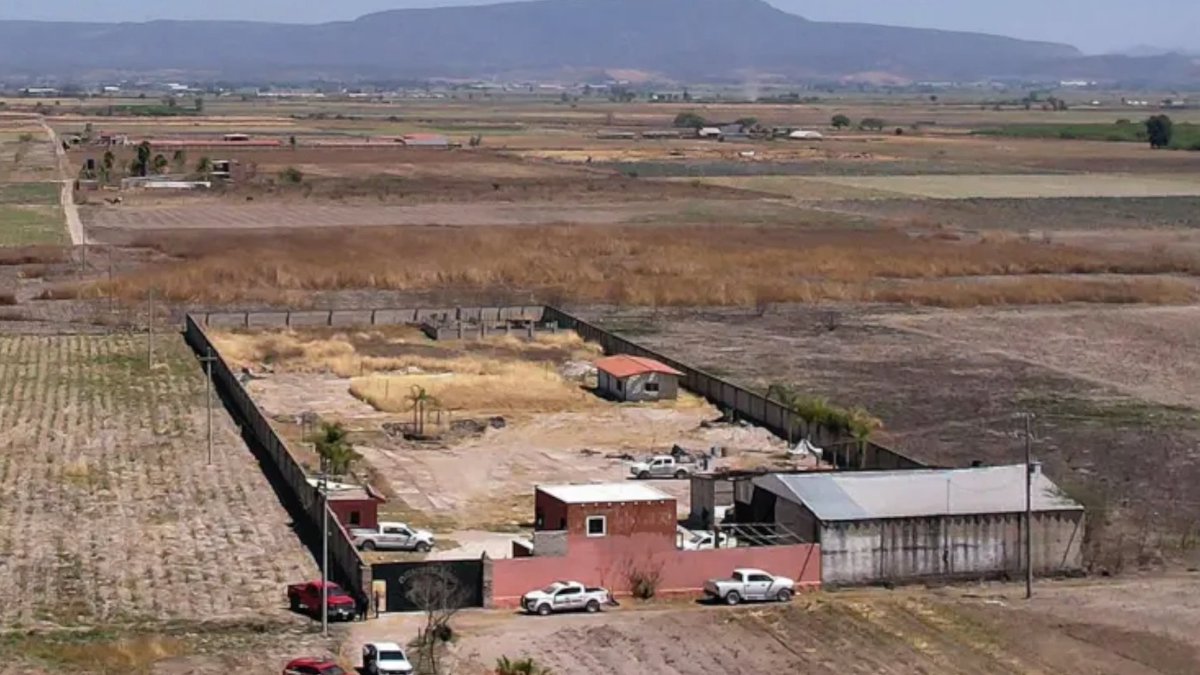 El hallazgo en Teuchitlán, Jalisco, revela la brutal realidad de las desapariciones en México, que es imposible minimizar o negar. Por ello, la Presidenta Claudia Sheinbaum Pardo impulsa seis acciones concretas para enfrentar esta crisis. La búsqueda de justicia no puede esperar.