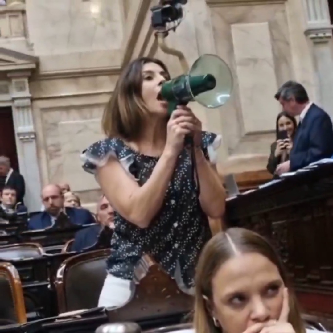 "Pagano": Por el cruce de Marcela Pagano con Martín Menem en la sesión de Diputados