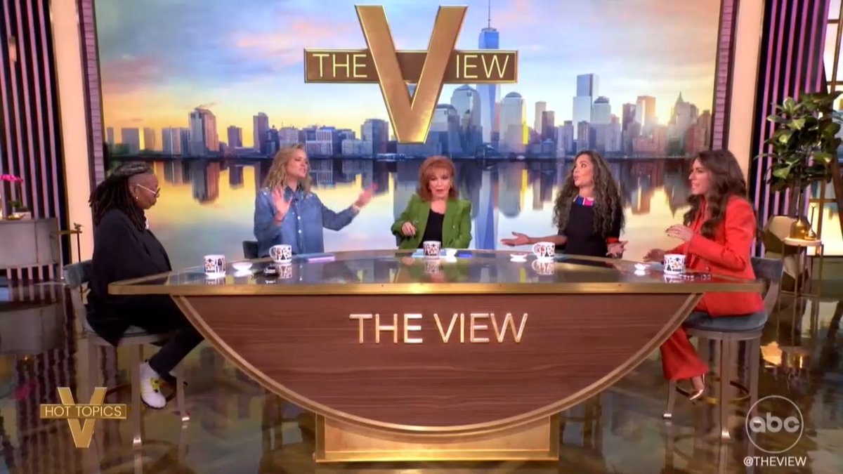 Here's nearly 5 minutes of The View cast yelling at each other, infighting about whether or not the Democrats are infighting.