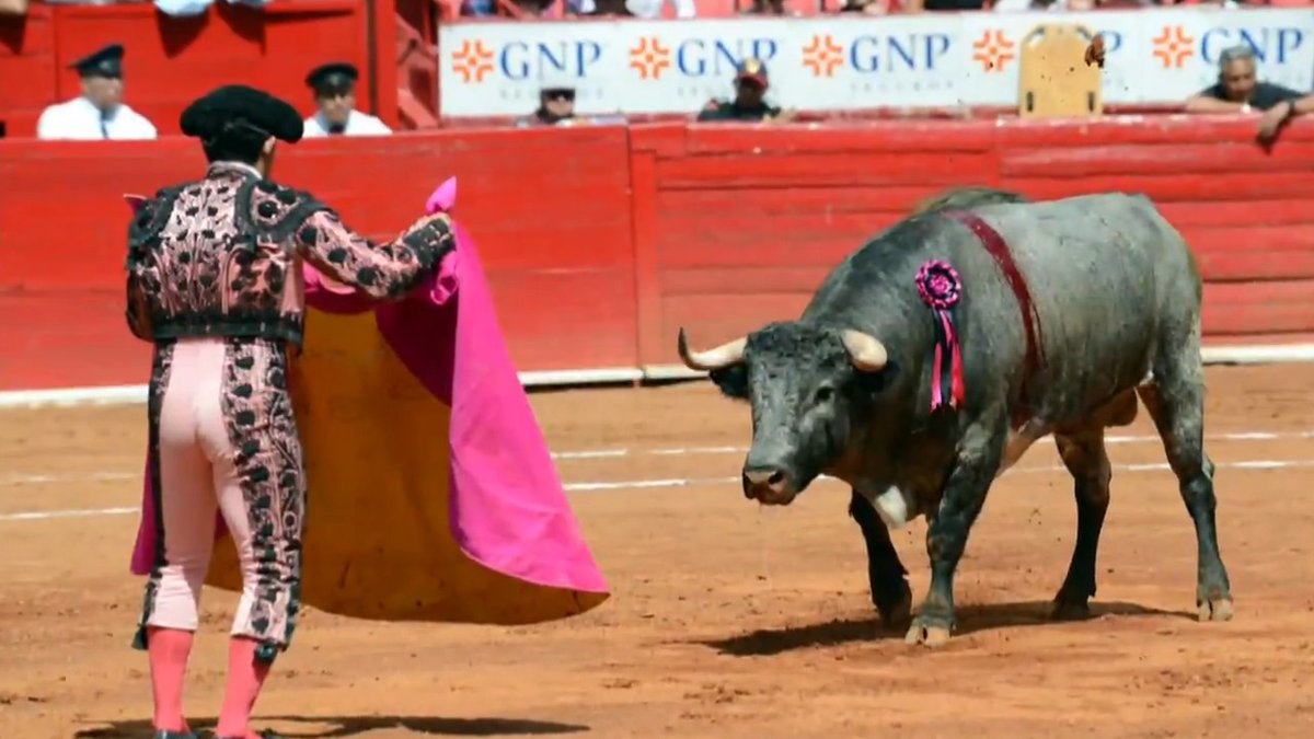 Mexico City banned violent bullfighting. The legislation prohibits the killing of bulls and the use of sharp objects that could injure the animals. It also sets time limits on how long bulls can be in the ring, part of the "bullfighting without violence" initiative.