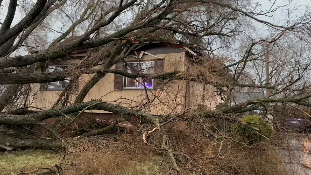 Multiple trees on homes in the 9400 block of Forest in Highland after a tornado warned storm quickly moved through the area. NWS Chicago