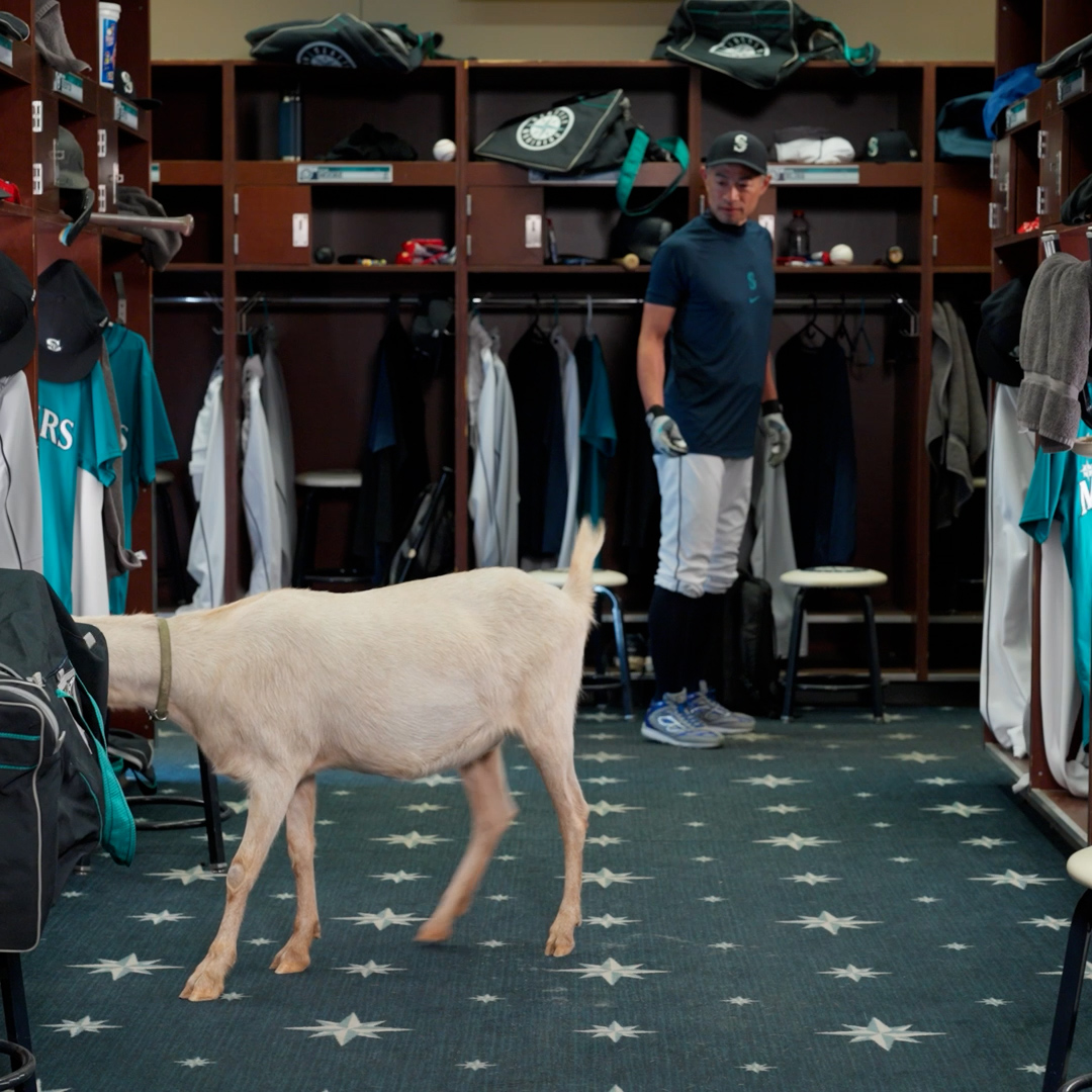 "What in tarnation??" 🎥 Behind the Scenes: GOAT Yoga
